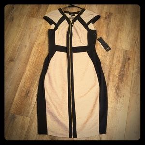 NWT | Zippered Dress | Size 6